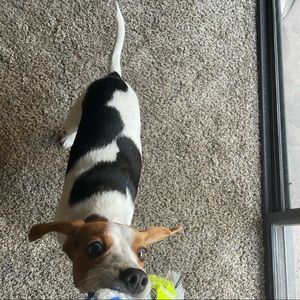 Meet your Posher, Aaron